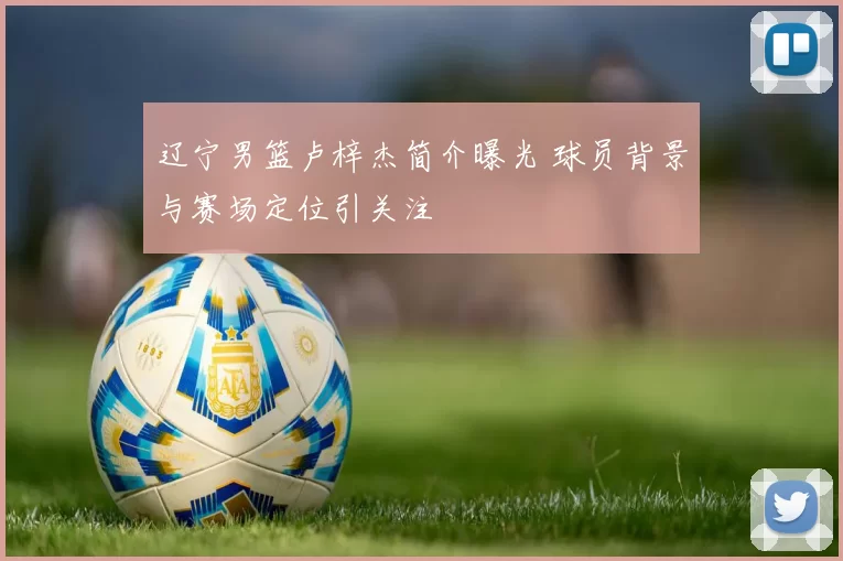 辽宁男篮卢梓杰简介曝光 球员背景与赛场定位引关注