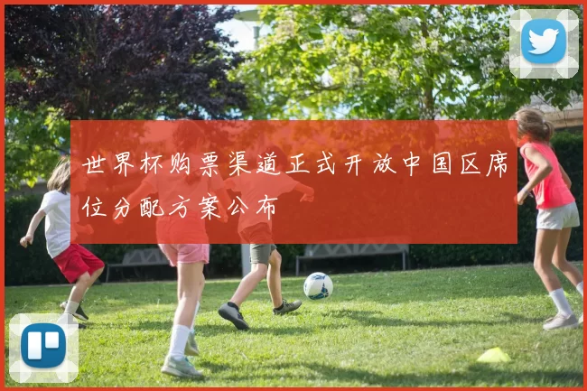 世界杯购票渠道正式开放中国区席位分配方案公布