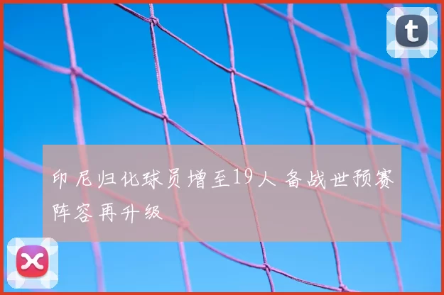 印尼归化球员增至19人 备战世预赛阵容再升级