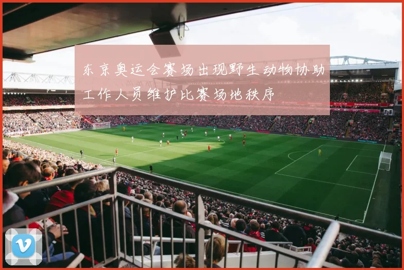 东京奥运会赛场出现野生动物协助工作人员维护比赛场地秩序