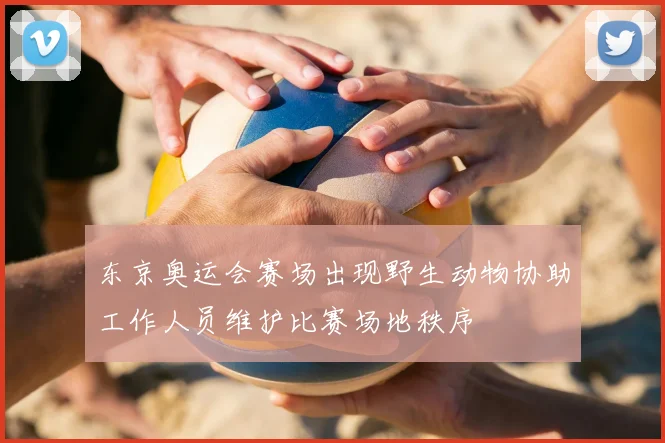 东京奥运会赛场出现野生动物协助工作人员维护比赛场地秩序