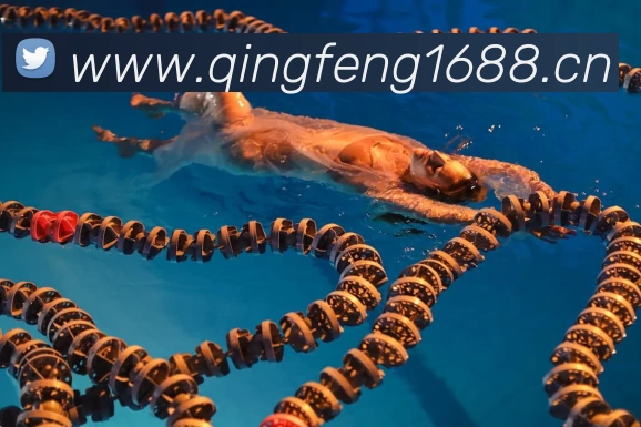 九游平台 - 九游(中国)一站式服务官方网站APP 高清赛事图